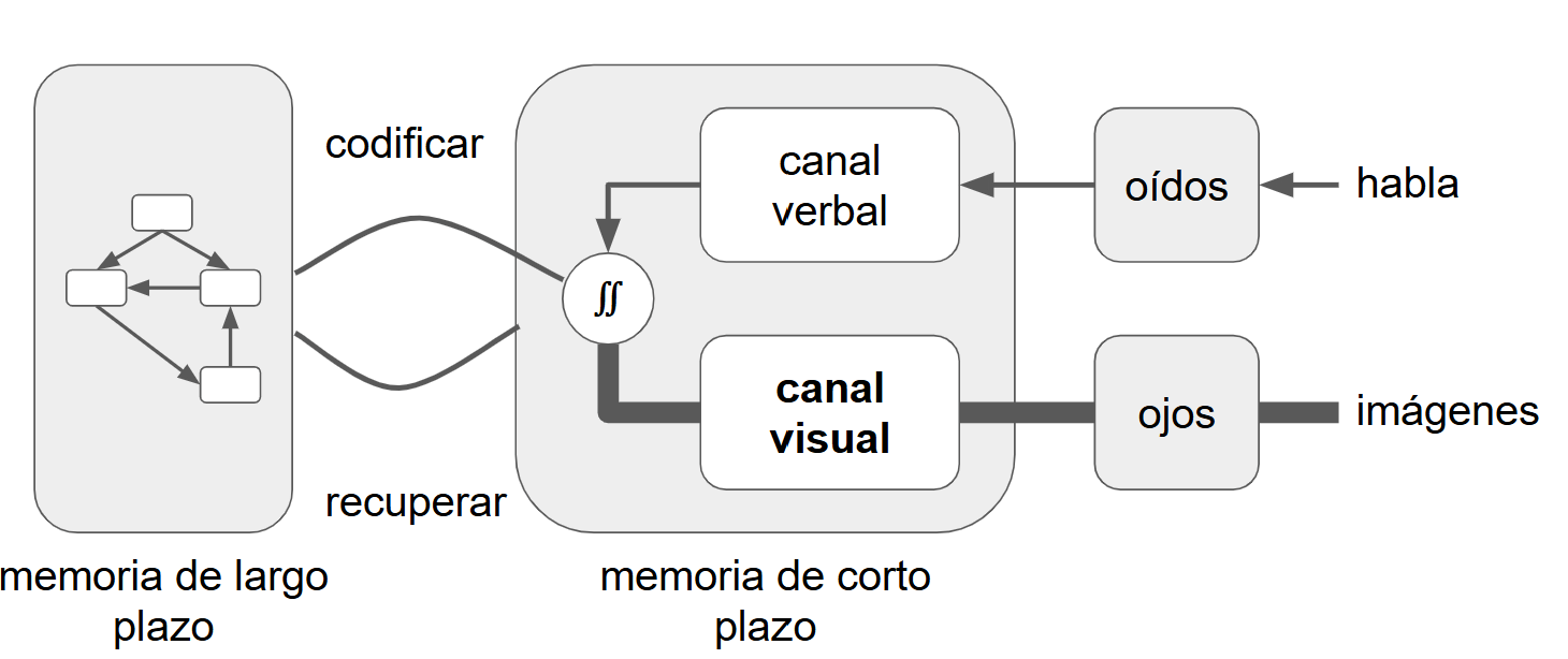 Versión completa con énfasis en la vía visual: los canales verbal y visual desembocan en un círculo de integración que luego codifica hacia la memoria de largo plazo. Las flechas provenientes de los ojos y hacia el canal visual, así como la salida de este canal, se dibujan más gruesas para destacar una carga mayor en la ruta visual, mientras la vía auditiva/verbal mantiene líneas finas. Se conservan las rutas de codificar y recuperar entre la memoria de corto y largo plazo.