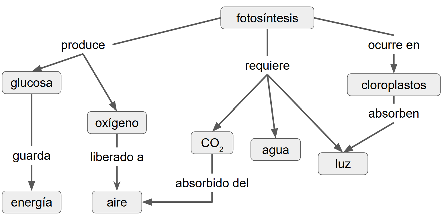 Mapa conceptual de síntesis sobre modelos mentales: una persona novata no tiene modelo mental, puede tener falsa confianza y se vuelve participante competente cuando desarrolla uno. El modelo mental representa un mapa conceptual, que contiene nodos (conceptos) y enlaces (relaciones) que habilitan recordar y ayuda a diseñar una lección que sigue esos enlaces. Para que sea útil, el modelo mental debe ser útil pero no necesita ser completamente correcto ni completo; además, se necesita para ser un participante competente.